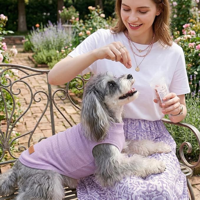 3Pack Dog Shirts Lightweight Waffle Dog Shirt for Small Dogs Sleeveless Dog Shirt for Small Medium Boy Girl Dogs Cozy & Breathable Pet Vest