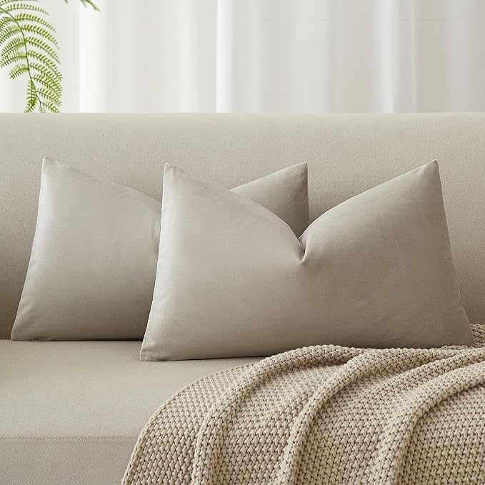 16x24 Pillow Covers Set of 2 Decorative Velvet Throw Pillow Covers,Cloud | Luxury Soft Cushion Covers with Invisible Zipper for Couch Sofa Bed Living Room Bedroom Home Decor