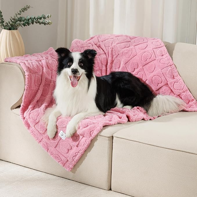 Luciphia Small Dog Blanket Washable Pet Bed Cover Soft Fluffy Puppy Blanket with Premium Fleece 300GSM Cozy Calming Cat Blankets for Indoor Cats Pink 41x31 inch | Pink Blanket Washable for Medium/Large Dogs, Cute Cover on Bed Couch Crate Car, Puppy Ess...