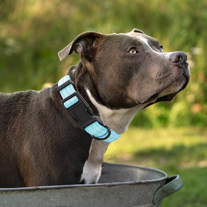 Mile High Life Reflective Dog Collar, Adjustable Lightweight Quick Release