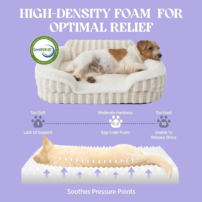 LE SURE Cute Cozy High Back Orthopedic Small Dog Bed with Sides, 24" Beige | Waterproof Pet Bed with Sides, Aesthetic Comfy Egg-Crate Foam Pet Couch Sofa, Removable Washable Cover, Non-Slip Bottom
