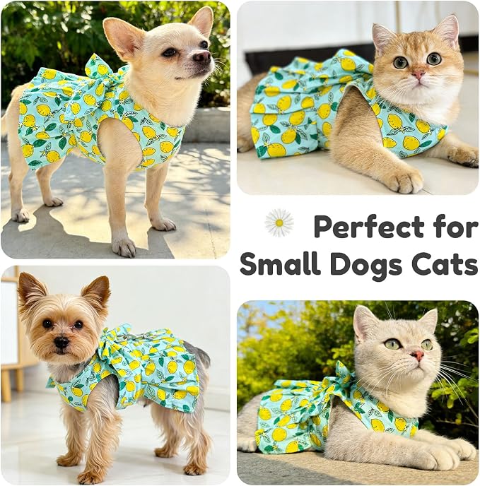 BAEJMJK Dog Dress Bowknot Harness Leash Set for Small Dogs Cats Girl Floral Princess Dog Dresses Cute Puppy Fruit Clothes Pet Doggy Outfits Spring Summer Breathable Dresses(Green,Small)