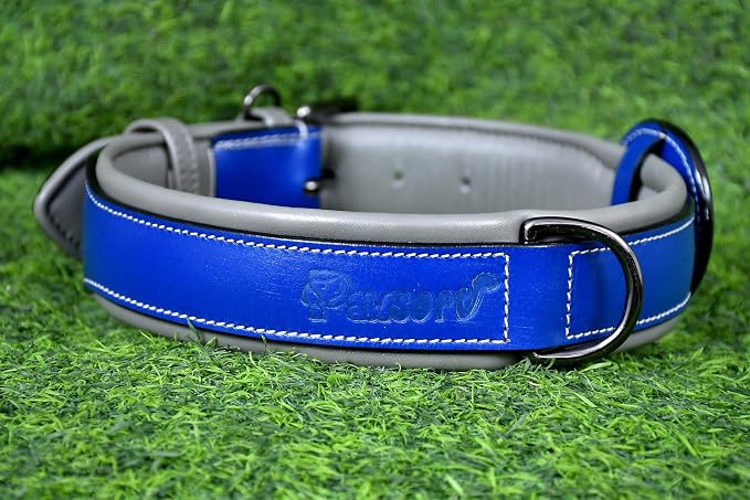 Airtag Luxury Real Leather | Genuine Leather Soft Padded Dog Collar for Medium Large Dogs | Leather with Anti -Rust Hardware (Size - L) Fits Neck 18, 19, 20 & 21 inches