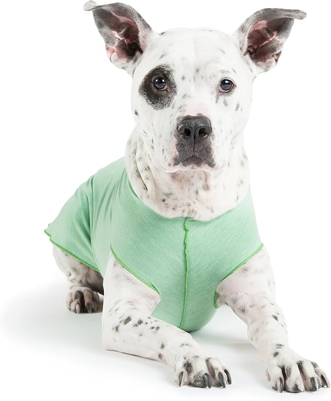 Sun Shield Dog Tee – T-Shirt for Canines – UV Protection, Pet Anxiety Relief, Wound Care – Protects Against Foxtails, Aids Alopecia - Machine Washable, All Season – Size 2 – Pistachio