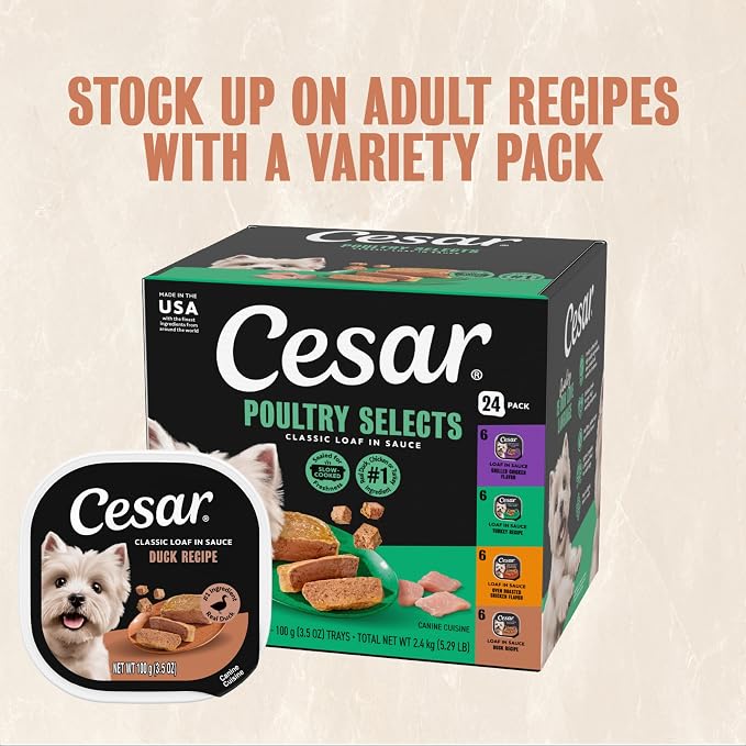 Cesar Classic Loaf in Sauce Wet Dog Food, Duck Recipe, 3.5 oz, 24 Count | Made in USA, Real duck #1 ingredient, no fillers/added sugar/artificial flavors, use as meal or topper, easy peel trays