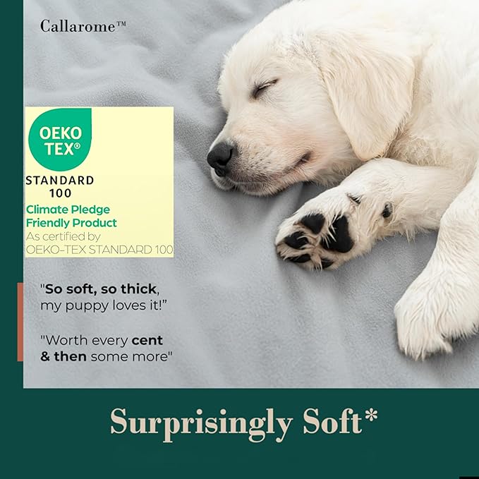 Waterproof Blanket for Bed or Couch – Soft and Leakproof Waterproof Throw Blanket, Water Proof & Stain Resistant Easy to Clean Throw Blanket Cover for Adults or Pets, Reversible Grey 60"x80" | High-Density Heavy-Duty Material - Ultra-Soft & Durable Sof...