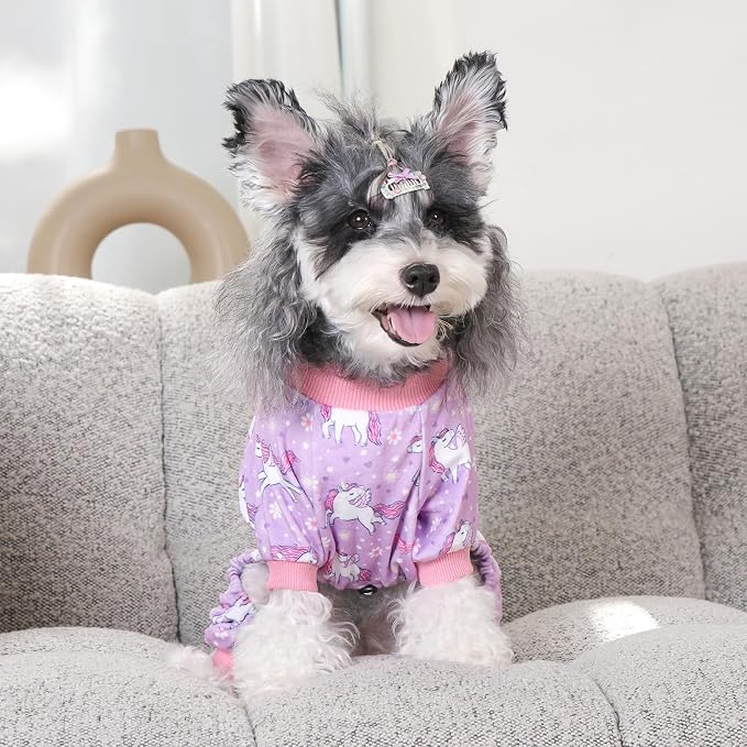 CuteBone Dinosaur Costume Dog Pajamas, Stretchy Spandex Crystal Velvet Sleepwear Coat for Small Dogs, Soft & Warm Pet Outfit Clothes for Cold Weather, Cozy Pullover Design COSP11M
