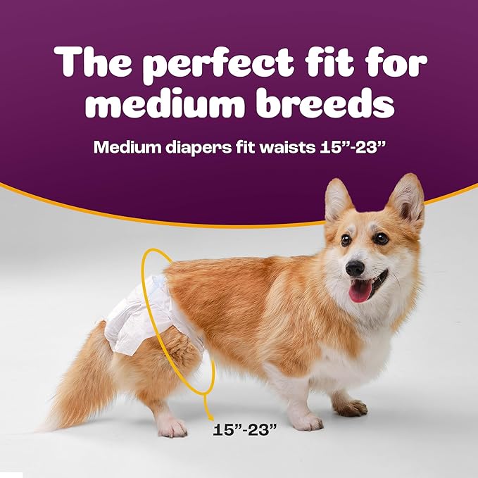 Inspire Pet Care Dog Diapers Female Dogs | Bulk Value Doggie Incontinence | For Heat, Pee or Period and Housebreaking
