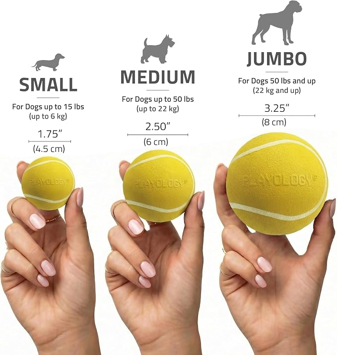 Playology Squeaky Chew Ball Dog Toy - Small, Chicken Scent, 3-Pack