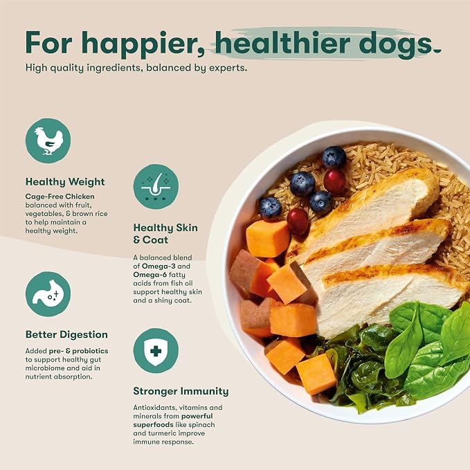 Jinx Dry Dog Food - Cage Free Chicken, Brown Rice & Sweet Potato, 11.5lb | Premium Kibble for Digestive Support & Healthy Immunity - No Fillers, All Lifestages (Puppy, Adult & Senior), Breeds & Sizes