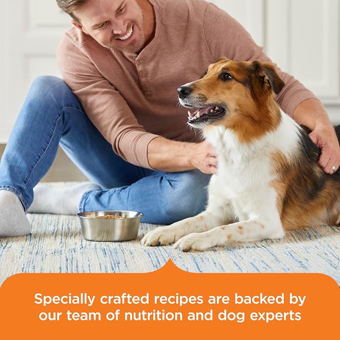 Nutrish Savory Lamb Stew Wet Dog Food, 8 oz. Tub (Pack of 8) (Rachael Ray) | Made with Carrots & Brown Rice, No Artificial Flavors, No Added Corn, Wheat or Soy Ingredients & No Poultry By-Product Meal