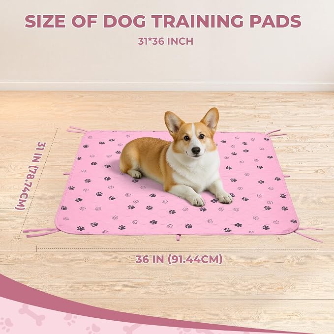 Fostanfly Washable Dog Pee Pads, Ultra-Absorbent, 31"x36"-2 Pack, Pink | Leak-Proof, Waterproof, Non-Slip, Large Reusable Pee Pads for Puppy Potty Training, Crate and Playpen with 8 Tie Straps