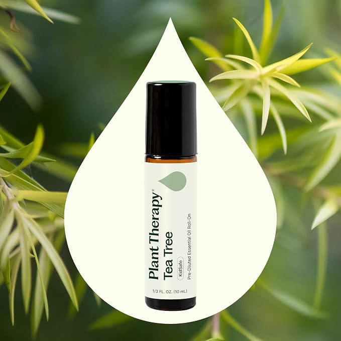 Plant Therapy Tea Tree Essential Oil 10mL (1/3 oz) (Pack of 2), 100% Pure, Pre-Diluted Roll-On, Natural Aromatherapy for Skin Blemishes and Immune Support