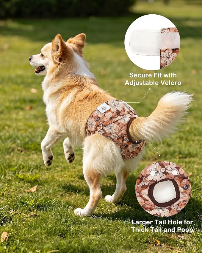CuteBone Dog Diapers Female Washable Small Medium Large 3 Pack Reusable Doggie Diapers Puppy Period Pants for Doggy Heat Cycle Peeing