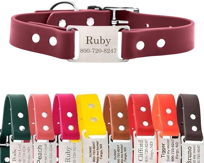 dogIDs Personalized Dog Collar – ScruffTag Custom Waterproof Biothane Dog Collar with Laser-Engraved Name, Durable & Odor-Resistant – USA Made | Wine, 3/4 in x 16 in (Fits Neck Sizes 14-18 in)