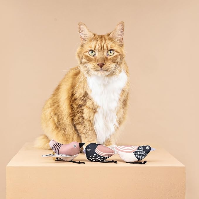 Fringe Studio, Under My Wings, Durable Cotton Canvas Cat Toy, 3PCS Set, PetShop Collection (904029)
