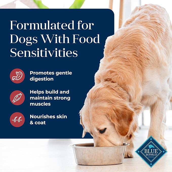 Blue Buffalo Basics Salmon Adult Skin & Stomach Care Dry Dog Food, 11 lb | Real Salmon #1 Ingredient, Limited Ingredient Diet, Antioxidant-Rich LifeSource Bits, Skin & Coat Health
