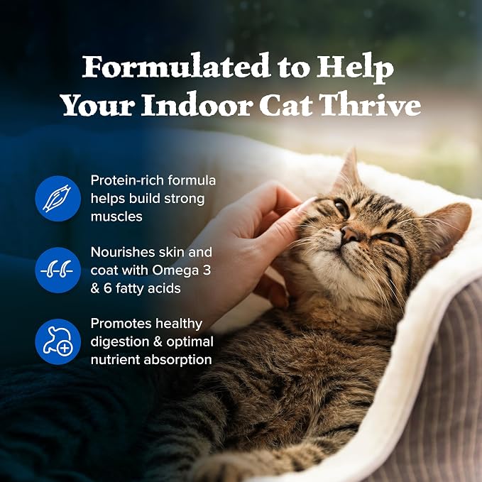 Blue Buffalo Wilderness Chicken Adult Indoor Dry Cat Food, Grain-Free, 2 lb | High Protein, Real Chicken #1 Ingredient, Supports Immunity with Antioxidant-Rich LifeSource Bits, Promotes Healthy Digestion