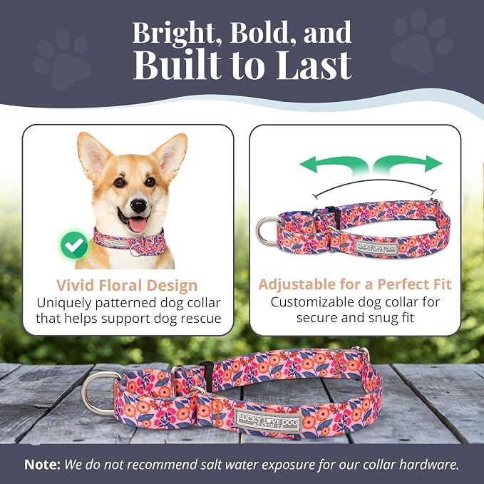 Lucky Love Dog Martingale Collar for Small Dogs No Slip Cute – Rosie, Small
