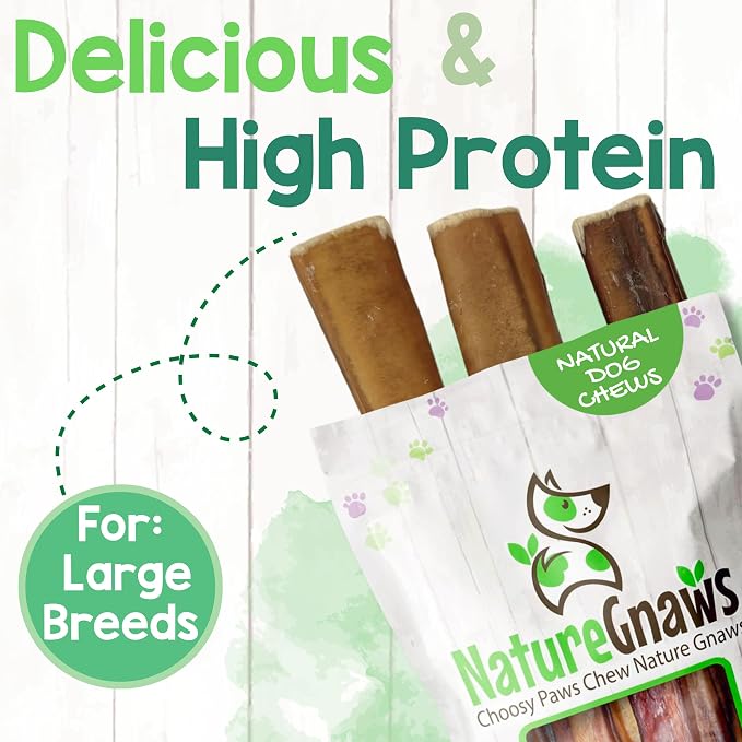 Nature Gnaws Large Bully Sticks 6" Rawhide Free Dog Chews, 15 Count | Thick Long Lasting for Aggressive Chewers and Large Dogs - Natural Beef Dog Chew Bones - No Artificial Preservatives