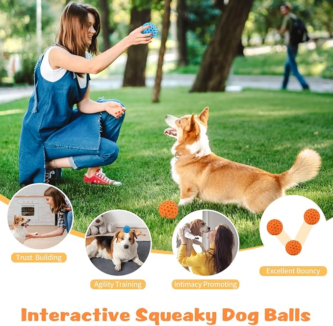 HIPPIH Indestructible Squeaky Dog Toys, Interactive Dog Balls 2 Pack