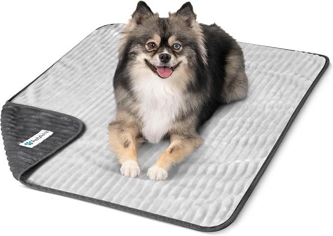 PetAmi Waterproof Dog Blanket, Leakproof Pet Blanket for Small Medium Large Cats, Soft Plush Reversible Sofa Couch Cover Protector, Washable Puppy Throw for Bed Crate, 29x40 in, Grey Light Gray