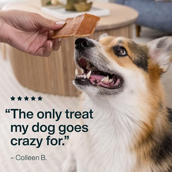 JustFoodForDogs Single Ingredient Healthy Dog Treats - Chicken Breast, 18Oz | Human Grade Chicken Treats for Dogs, Jerky Dog Snacks, Preservative & Grain Free, Rawhide Free Chews, Low Calorie Treat