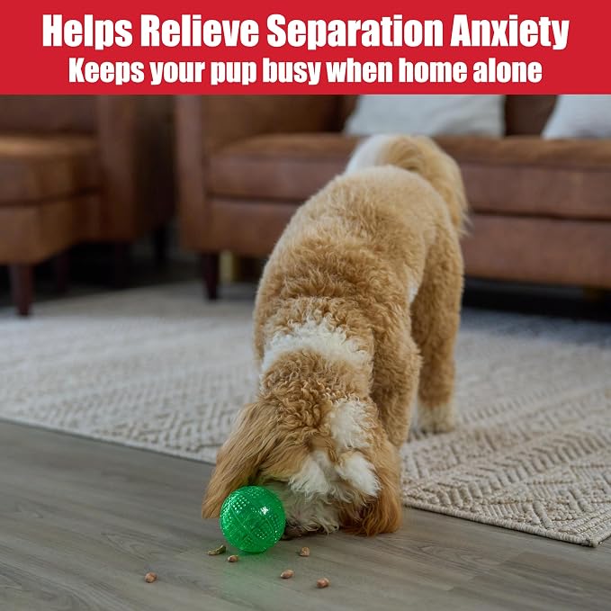 SPOT Dura-Brite Treat Ball - Treat Dispensing Dog Toy Made with Durable TPR Rubber, Interactive Slow Feeder Puzzle Ball, Prevents Boredom and Makes Mealtime Fun - 3in, Assorted Colors