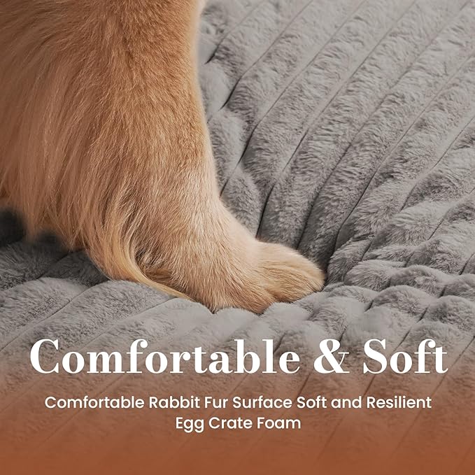 Medium Dog Bed Orthopedic Foam with Waterproof Lining | Egg crate foam for joint support. Soft plush surface. Non-slip bottom. Removable & machine washable cover. OEKO-TEX certified