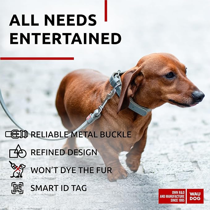 WAUDOG Genuine Leather Dog Collar Adjustable Large Medium Small QR Code Tag