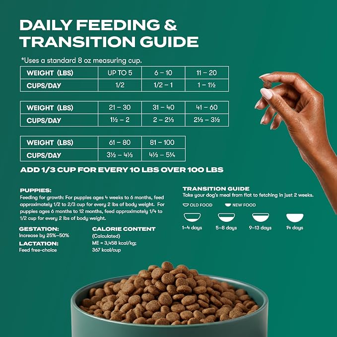 Jinx Grain Free Dry Dog Food - Real Salmon, Sweet Potato & Carrot, 4lb | Premium Kibble for Digestive Support & Healthy Immunity - No Fillers, All Lifestages (Puppy, Adult & Senior), Breeds & Sizes