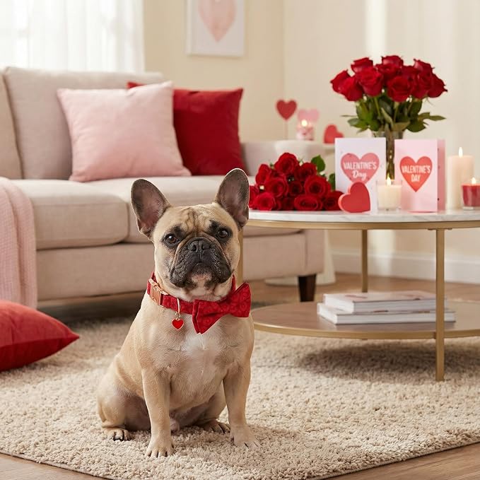ADOGGYGO Valentine Dog Collars with Bow, Detachable Heart Sunburst Print Bowtie, Metal Buckle, Adjustable Valentine Collars for Medium Dogs Boy Girl (Medium)