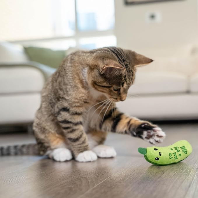 Catstages Crunchy Pickle Kicker Chew Cat Toy, Catnip & Dental Mesh, 6.5"