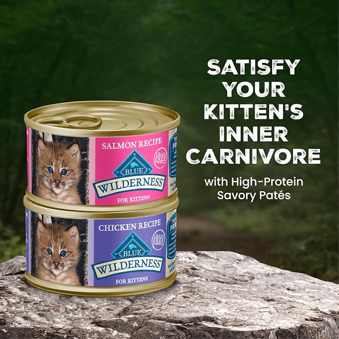 Blue Buffalo Wilderness Variety Pack Kitten Paté Wet Cat Food, 3 oz, 6 ct | High Protein, Chicken & Salmon Recipes (3 of Each), Grain-Free Recipe, DHA for Cognitive Development