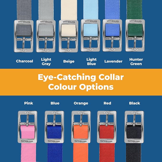 GoTags Personalized Dog Collar with Buckle, Custom Embroidered with Pet Name and Phone Number in Blue, Black, Pink, Red and Orange, for Boy and Girl Dogs or Cats, 10 Adjustable Sizes