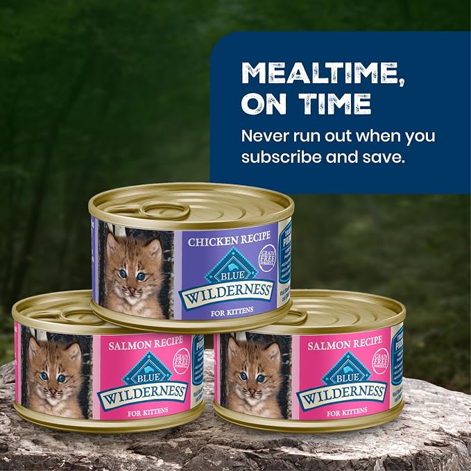 Blue Buffalo Wilderness Variety Pack Kitten Paté Wet Cat Food, 3 oz, 6 ct | High Protein, Chicken & Salmon Recipes (3 of Each), Grain-Free Recipe, DHA for Cognitive Development