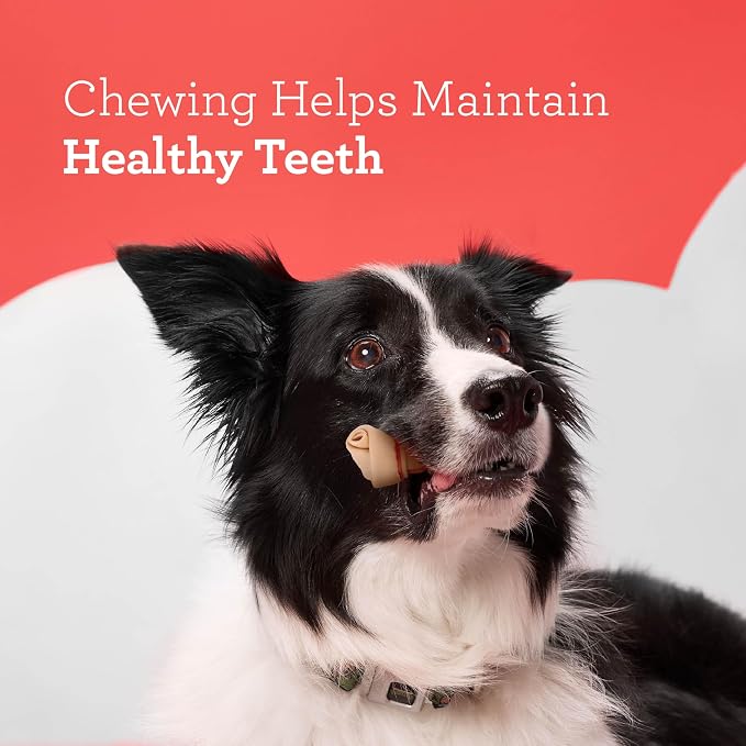 DreamBone Mini Bone Rawhide-Free Dog Treats With Real Protein, 50 Count | Daily Chew, Digests Safely and Completely, Made With Real Chicken and Veggies, For Adult Dogs