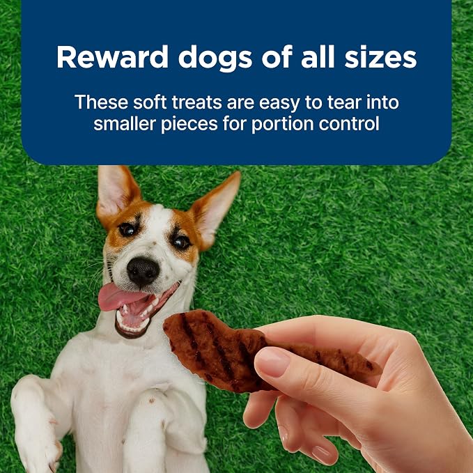 Blue Buffalo Nudges Grillers Natural Dog Treats, Beef, 16 oz, (Pack of 5)