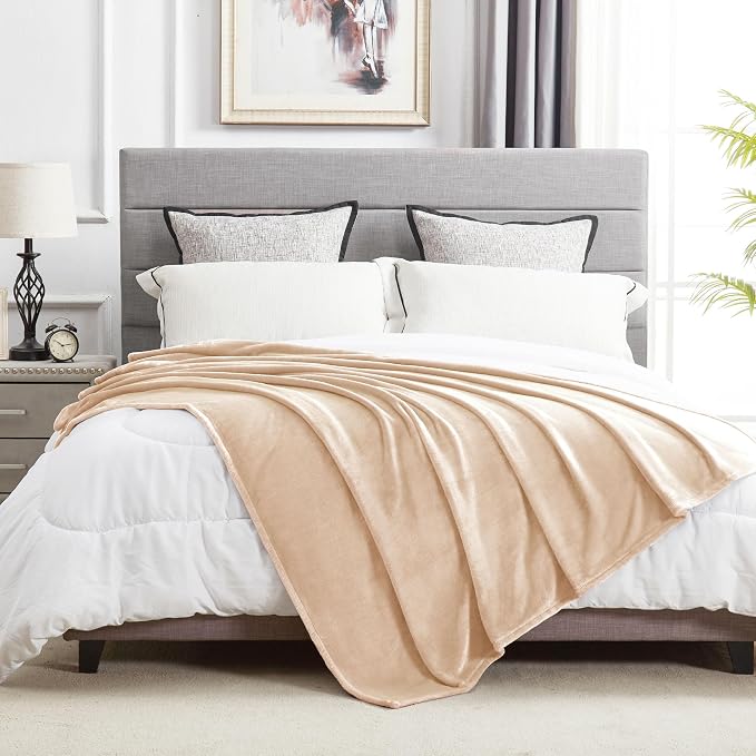 DREAMNINE Oversized Soft Fuzzy Fleece Throw Blanket Twin Size 60" x 80", Decorative Large Solid Lightweight Velvet Bed Blanket,Big Cute Cozy Accent Shaggy Microfiber Flannel Blankets for Bedroom,Beige