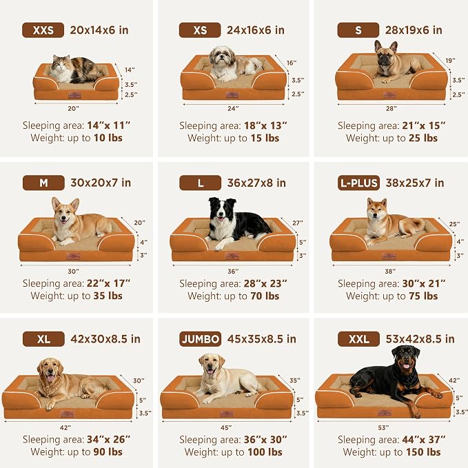 Comfort Expression Waterproof Orthopedic Dog Beds for Large Sized Dog | Supportive Egg Crate Foam Large Pet Bed with Removable Bolster, Dog Couch with Washable Cover & Non-Slip Bottom, 36x27 Inch