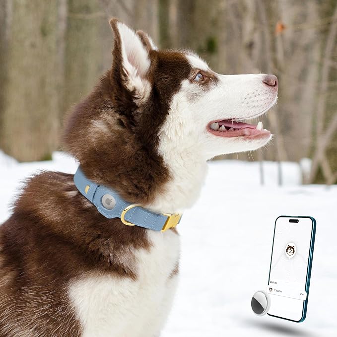 Leather Airtag Dog Collar - Soft Tracking Dog Collar with Apple AirTag Holder and Metal Buckle - Safety GPS Pet Collars for Small Medium Large Dogs Puppy Pink Red (Cornflower, XS, 9"-12" Neck Fit)