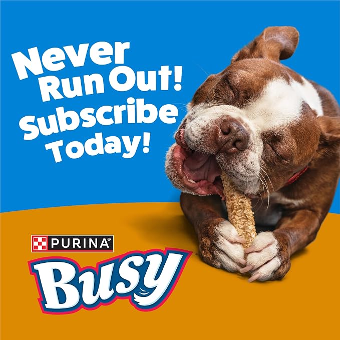 Purina Busy Chewnola Small/Medium Dog Bones, Oats & Brown Rice, 10 ct Pouch | Three-layer dog treat made with wholesome grains and a real beefhide center, long-lasting chew that helps clean teeth