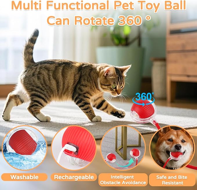 Goosheep 2025 New 3Pack Cat Ball Kitten Toys for Indoor Interactive Kitty Ball Toy Speedy Tail 360° Automatic Rolling(Red Grey Green)
