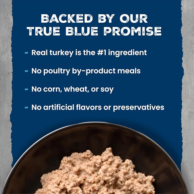Blue Buffalo Wilderness Turkey Paté Adult Wet Cat Food, 5.5 oz, 24 ct | Real Turkey #1 Ingredients, High Protein & Grain-Free Recipes, Supports Energy for an Active Life