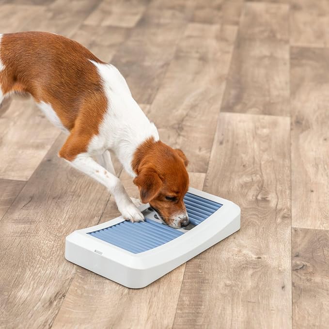 Trixie Rod Board Dog Activity Interactive Toy, Level 1 Food Puzzle Game, Brain Teasing Treat Dispenser, IQ and Mental Development Toy for Smart Dogs, Enrichment Toy for Boredom Busting