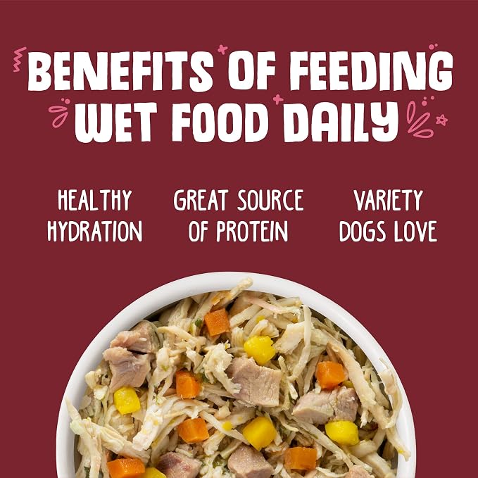 Weruva Classic Dog Food, Peking Ducken with Chicken & Duck in Gravy, 5.5oz Can (Pack of 24)