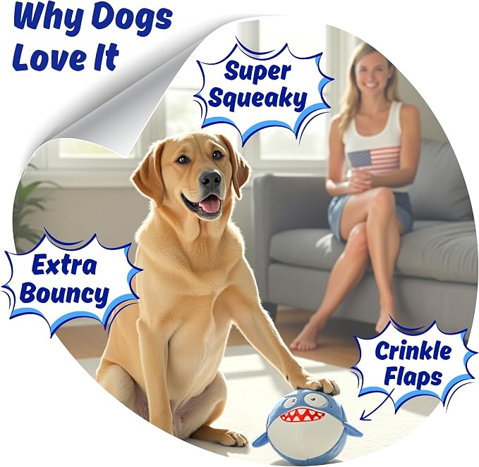 Dog Toy for Aggressive Chewers, Tough Squeaky Chew Ball, Large Breeds Gift