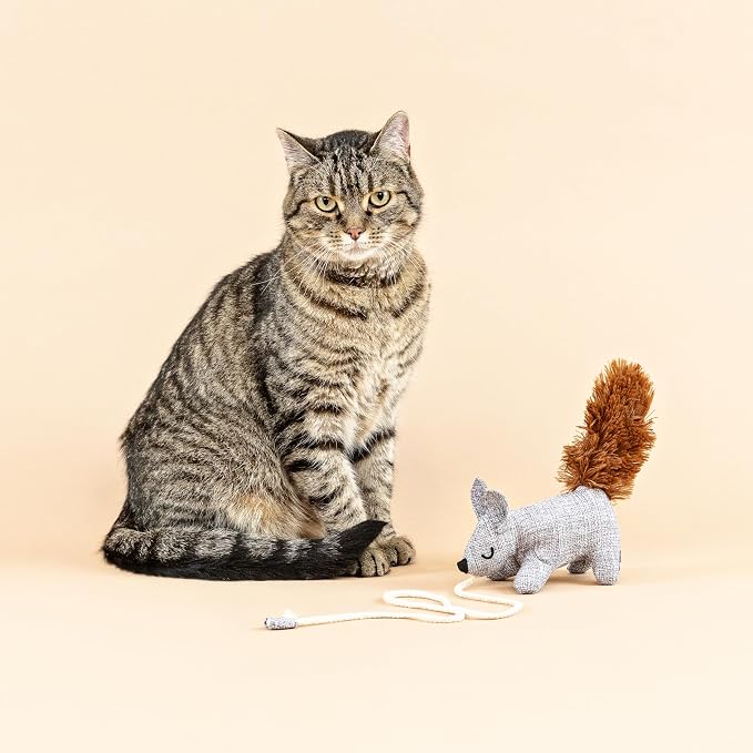 Fringe Studio ONE TUFF NUT Teaser Cat Toy, PetShop Collection (717001)