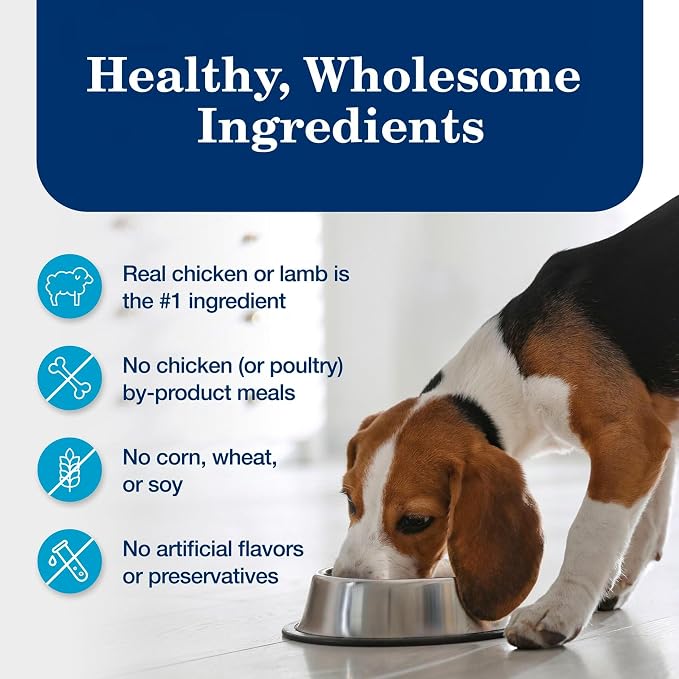 Blue Buffalo Homestyle Recipe Variety Pack Wet Dog Food, 12.5 oz, 6 ct | Chicken & Lamb (3 of Each), No Chicken By-Product, Corn, Wheat, or Soy