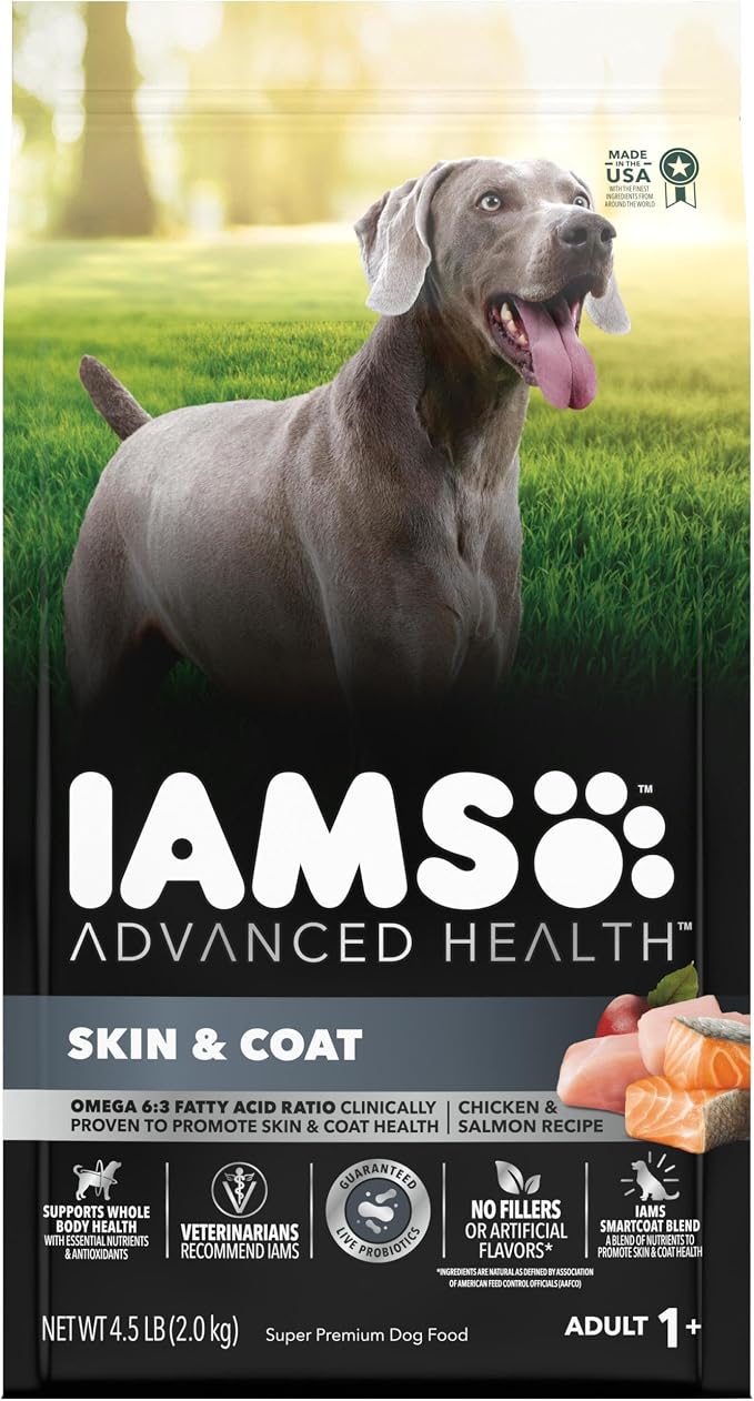 IAMS Advanced Health Skin & Coat Dry Dog Food, Chicken & Salmon, 4.5 lb | Vet-recommended, Omega 6:3 fatty acids, zinc & vitamin E, real chicken #1 ingredient, real salmon, no artificial flavors